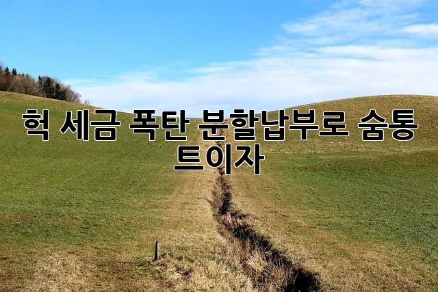 556da974443ff1515c3ee5ce2e7fcc04.jpg