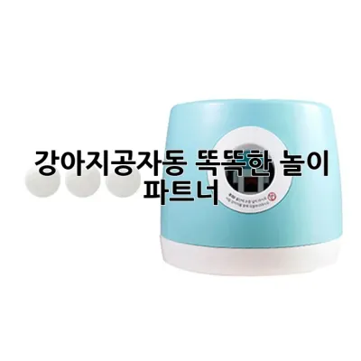 강아지공자동, 똑똑한 놀이 파트너! 🐾