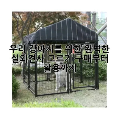 우리 강아지를 위한 완벽한 실외견사 고르기: 구매부터 활용까지