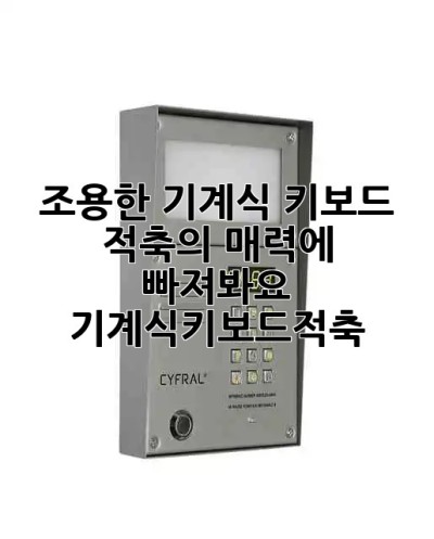 조용한 기계식 키보드? 적축의 매력에 빠져봐요! 🤫⌨️ #기계식키보드적축