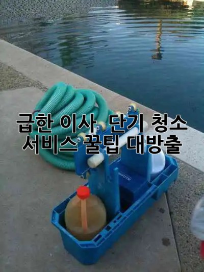 급한 이사? 🏠 단기 청소 서비스 꿀팁 대방출! ✨