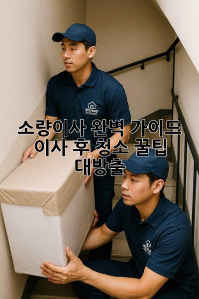 소량이사 완벽 가이드✨ 이사 후 청소 꿀팁 대방출! 🏡🧹