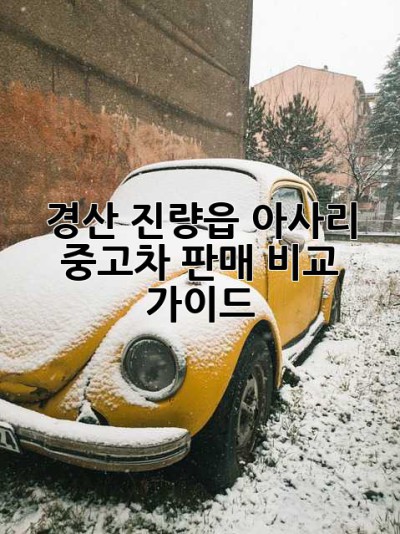 경산 진량읍 아사리 중고차 판매 비교 가이드