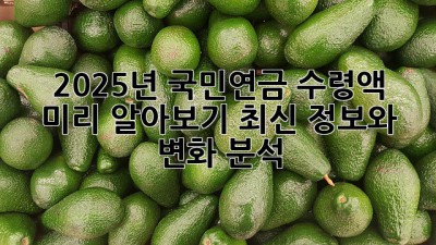 2025년 국민연금 수령액 미리 알아보기: 최신 정보와 변화 분석
