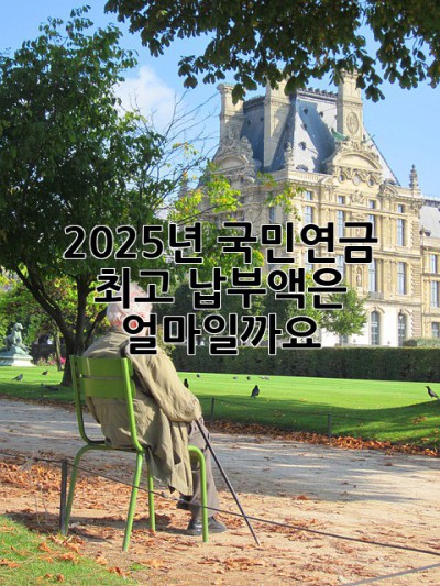 2025년 국민연금 최고 납부액은 얼마일까요?