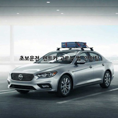 초보운전 🚗 렌트카 고르는 법 & 안전팁