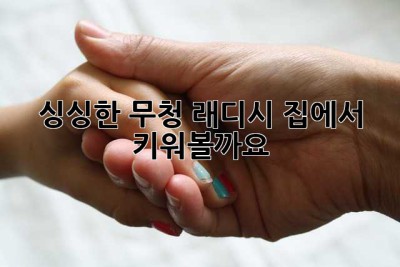 싱싱한 무청 래디시, 집에서 키워볼까요?