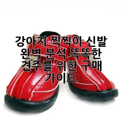 🐾 강아지 찍찍이 신발 완벽 분석: 똑똑한 견주를 위한 구매 가이드 🐾
