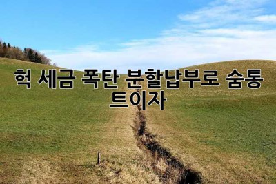 헉, 세금 폭탄?! 분할납부로 숨통 트이자!
