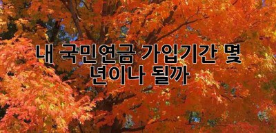 내 국민연금 가입기간, 몇 년이나 될까? 🤔