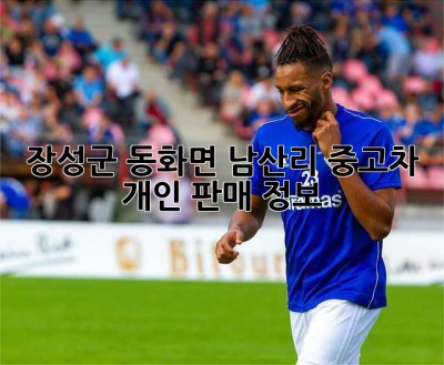 장성군 동화면 남산리 중고차 개인 판매 정보