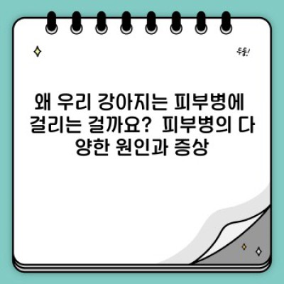 강아지 피부병 완전 정복: 증상, 원인, 치료법, 예방법까지!