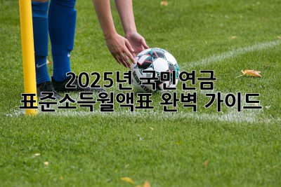 2025년 국민연금 표준소득월액표 완벽 가이드