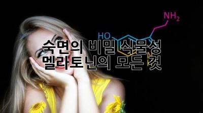 숙면의 비밀, 식물성 멜라토닌의 모든 것