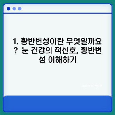 황반변성 완벽 가이드: 증상, 원인, 치료 및 예방법 총정리