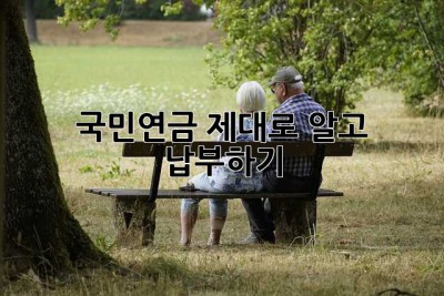 국민연금, 제대로 알고 납부하기! 🤔
